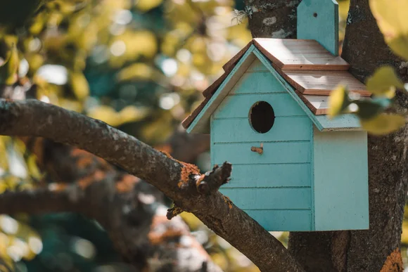 Blaues Vogelhaus an Baum